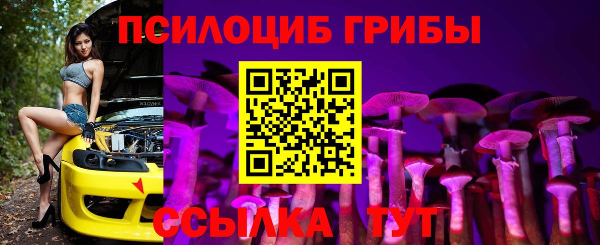 Псилоцибиновые грибы мицелий Архангельск